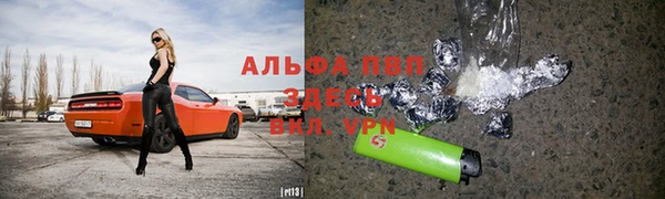 молекула духа Арсеньев
