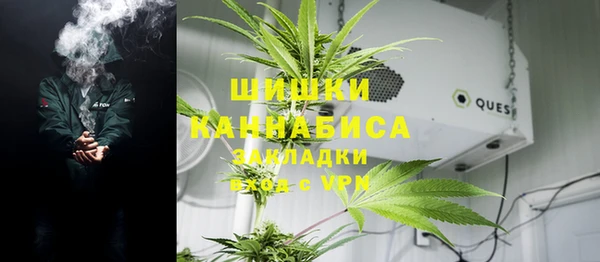 молекула духа Арсеньев