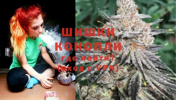 винт Аркадак