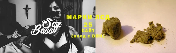 молекула духа Арсеньев