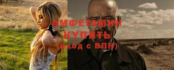 молекула духа Арсеньев
