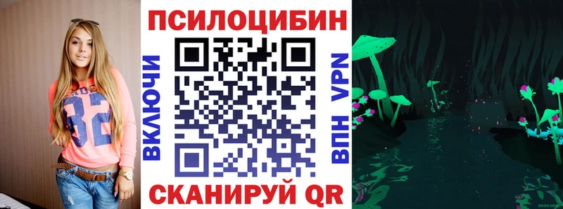 как найти закладки  Дудинка  Псилоцибиновые грибы мицелий 